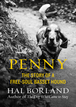 Hal Borland Penny: The Story of a Free-Soul Basset Hound