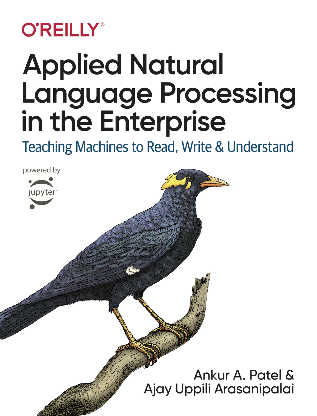 Applied Natural Language Processing in the Enterprise by Ankur A Patel and - photo 1