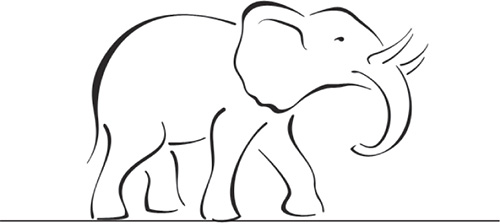 The Elephant in the Boardroom How Leaders Use and Manage Conflict to Reach Greater Levels of Success - image 1