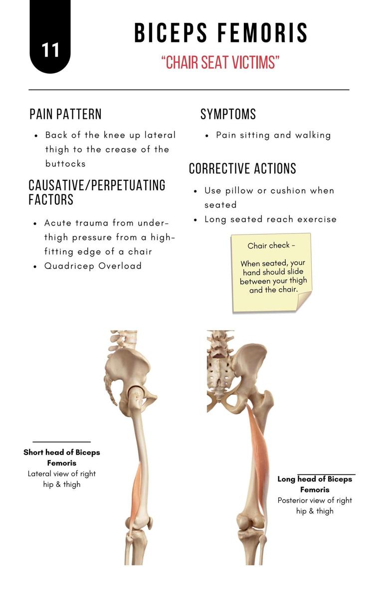 A Bodyworkers Guide to Soft Tissue Pain Patterns - photo 16