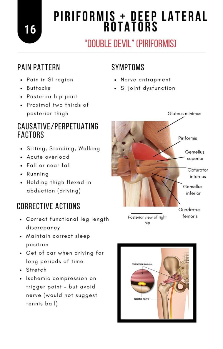 A Bodyworkers Guide to Soft Tissue Pain Patterns - photo 21