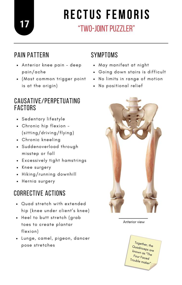 A Bodyworkers Guide to Soft Tissue Pain Patterns - photo 22