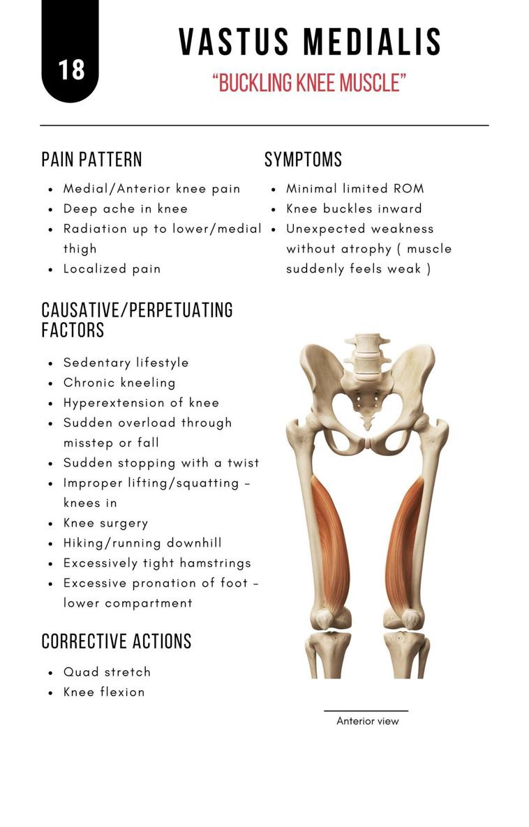 A Bodyworkers Guide to Soft Tissue Pain Patterns - photo 23