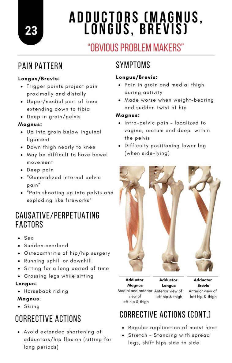 A Bodyworkers Guide to Soft Tissue Pain Patterns - photo 28