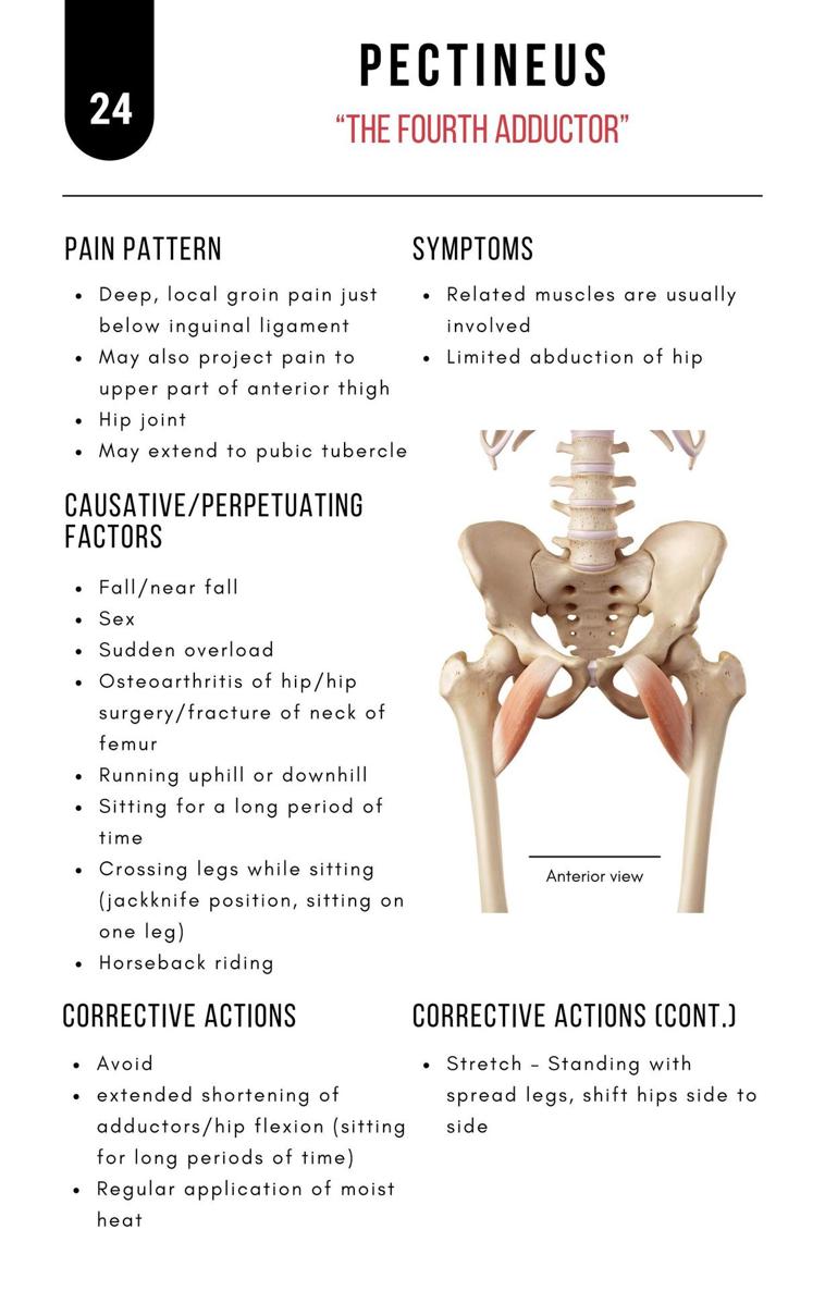 A Bodyworkers Guide to Soft Tissue Pain Patterns - photo 29