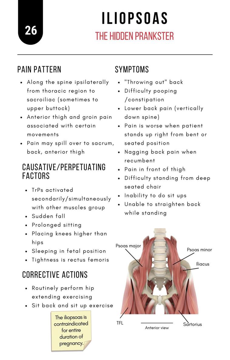 A Bodyworkers Guide to Soft Tissue Pain Patterns - photo 31