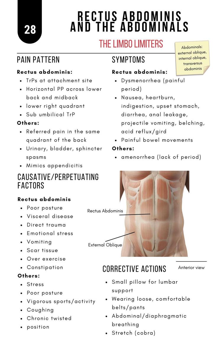 A Bodyworkers Guide to Soft Tissue Pain Patterns - photo 33