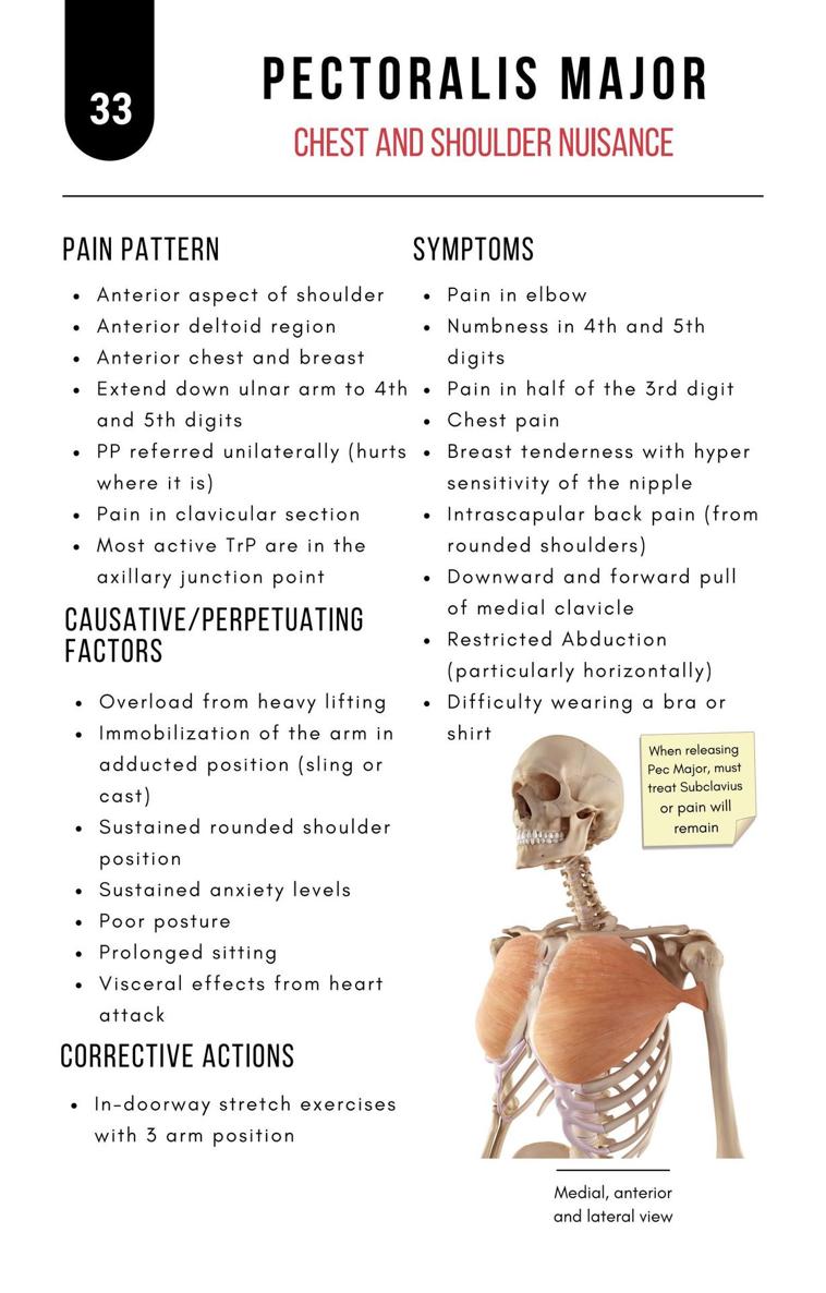 A Bodyworkers Guide to Soft Tissue Pain Patterns - photo 38