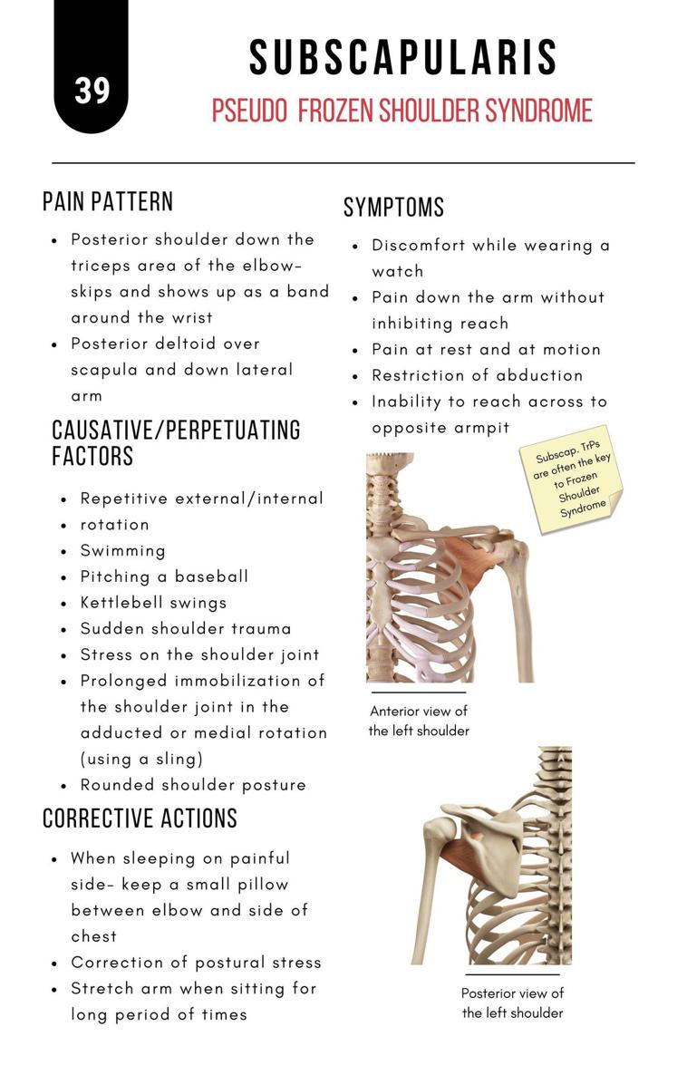 A Bodyworkers Guide to Soft Tissue Pain Patterns - photo 44