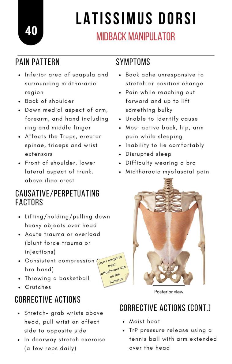 A Bodyworkers Guide to Soft Tissue Pain Patterns - photo 45