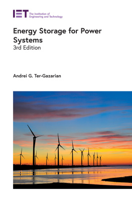 Andrei G. Ter-Gazarian - Energy Storage for Power Systems