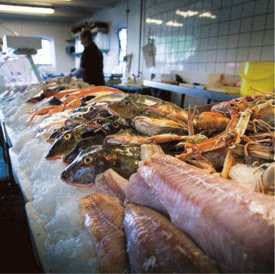 1 The Fish Shop The fishmongers window display is alluring yet one doesnt - photo 2