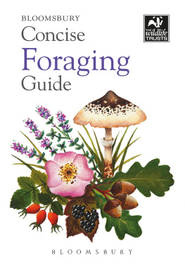 Tiffany Francis-Baker - Concise Foraging Guide