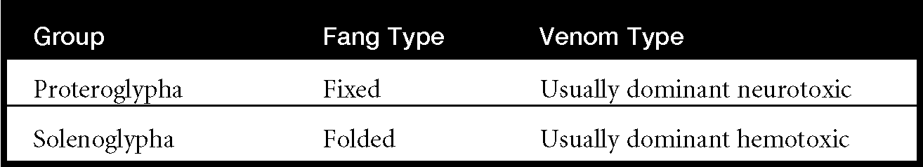 Figure 1 Snake group characteristics The proteroglypha have in front of - photo 4