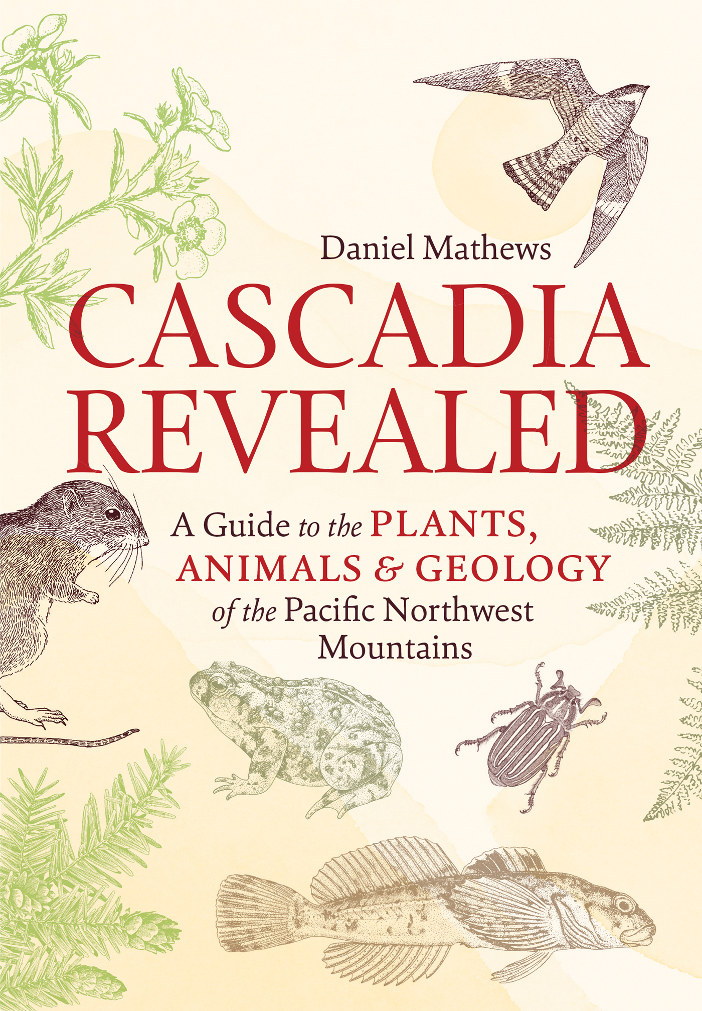 Daniel Mathews CASCADIA REVEALED A GUIDE to the PLANTS ANIMALS GEOLOGY of - photo 1