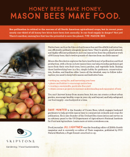 Dave Hunter Mason Bee Revolution