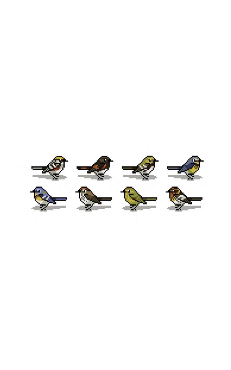 Birding Is My Favorite Video Game Cartoons About the Natural World From Bird and Moon - photo 1