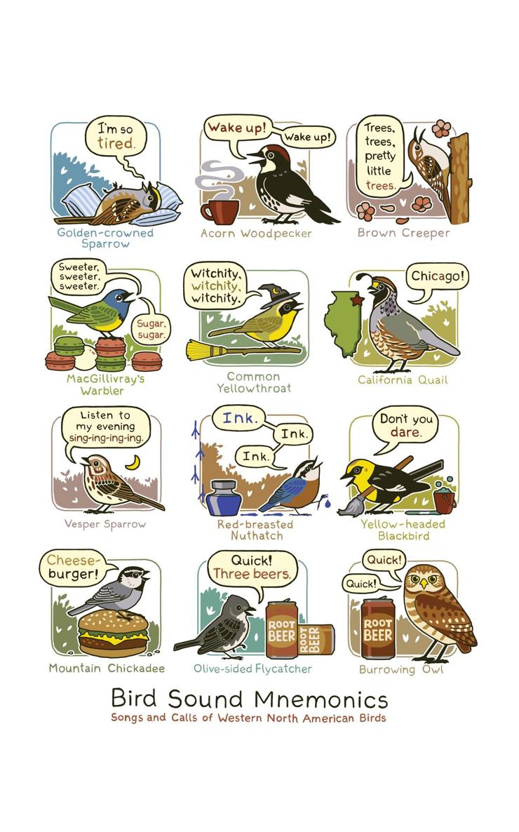 Birding Is My Favorite Video Game Cartoons About the Natural World From Bird and Moon - photo 21