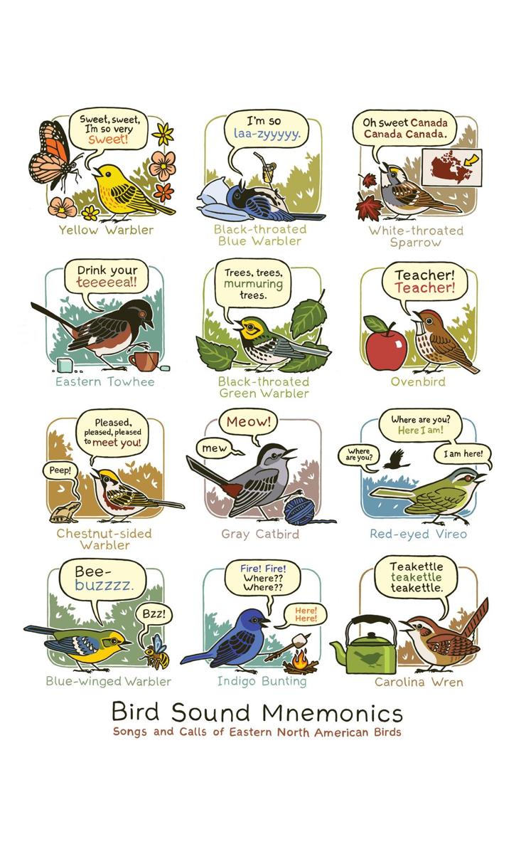 Birding Is My Favorite Video Game Cartoons About the Natural World From Bird and Moon - photo 35