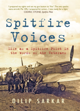 Dilip Sarkar Spitfire Voices: Life As A Spitfire Pilot In The Words Of The Veterans