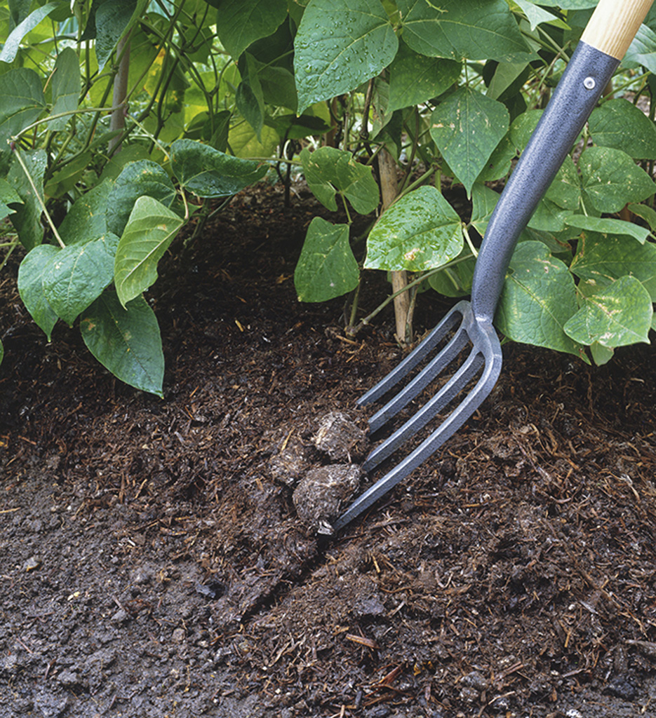 Composting at home produces a free soil conditioner and slow-release plant food - photo 7