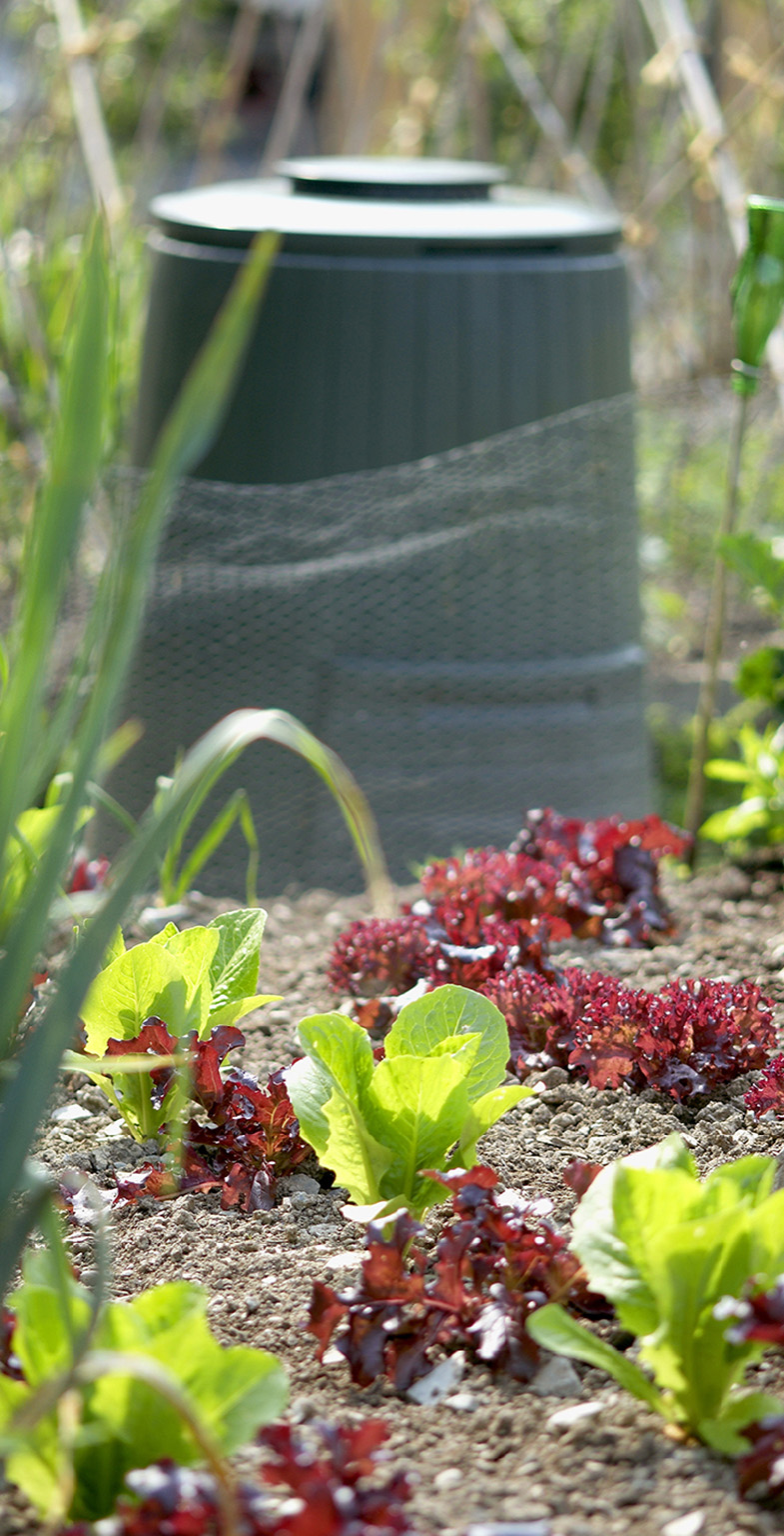 Compost contains organic matter and microbes that glue soil particles together - photo 9