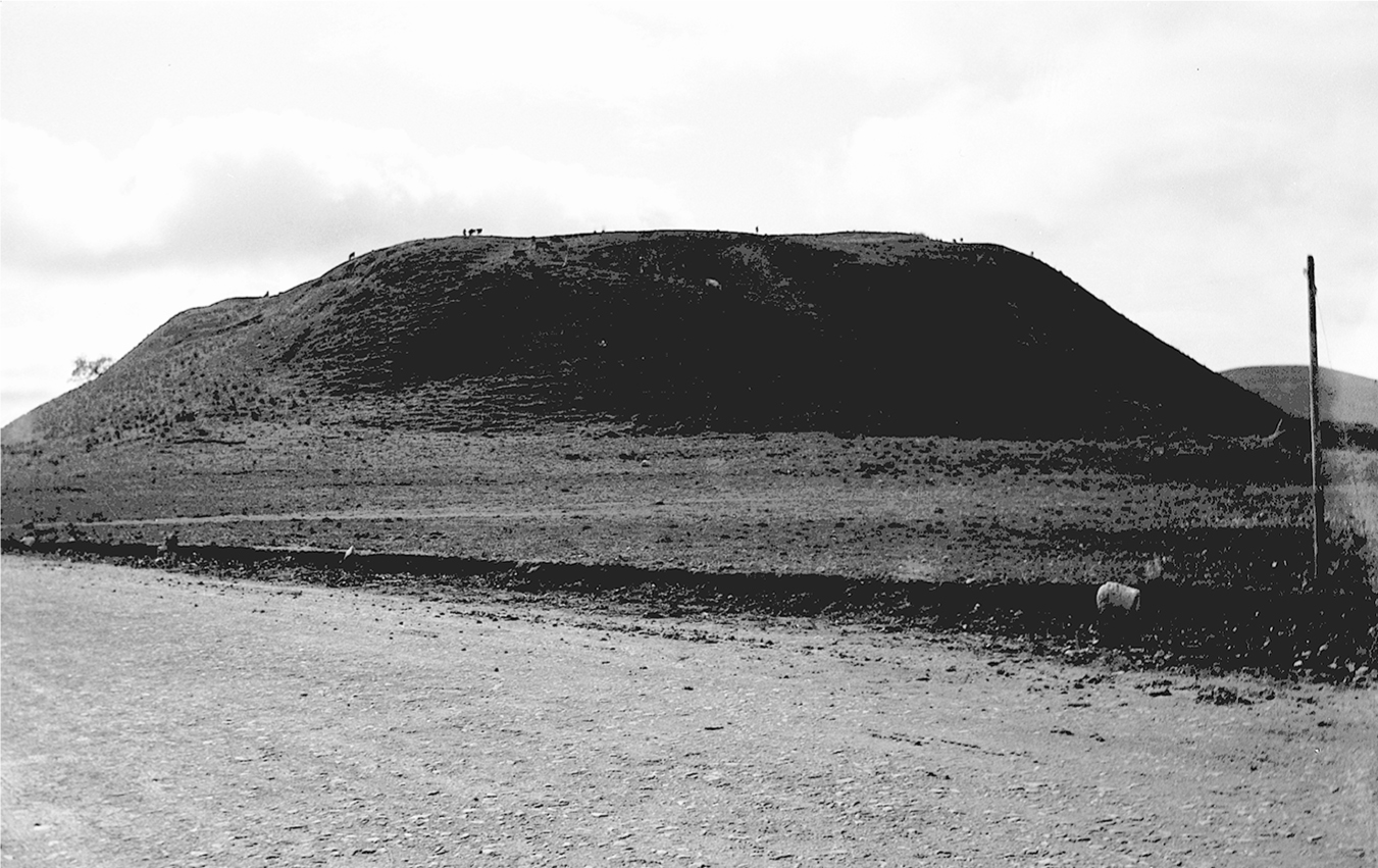 F IG 1 Early view of Megiddo courtesy of the Oberlin College archives In - photo 4