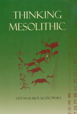 Stefan K. Kozlowski - Thinking Mesolithic