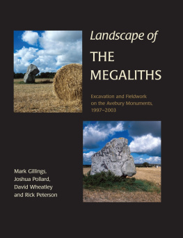 Mark Gillings - Landscape of the Megaliths: Excavation and Fieldwork on the Avebury Monuments, 1997-2003