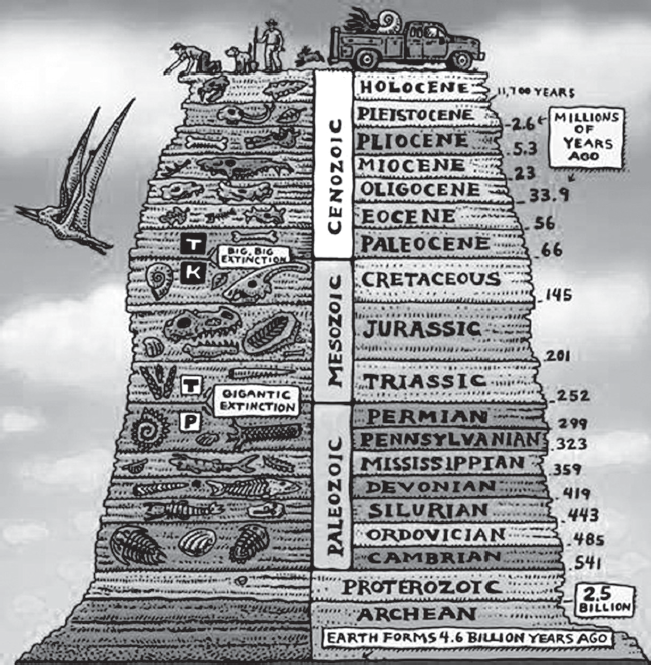 FANTASTIC FOSSILS A GUIDE TO FINDING AND IDENTIFYING PREHISTORIC LIFE - photo 2