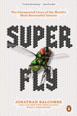 Jonathan Balcombe Super Fly: The Unexpected Lives of the Worlds Most Successful Insects