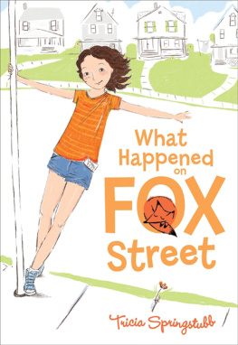 Tricia Springstubb - What Happened on Fox Street