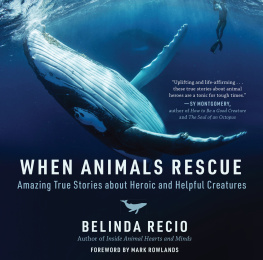 Belinda Recio - When Animals Rescue: Amazing True Stories about Heroic and Helpful Creatures