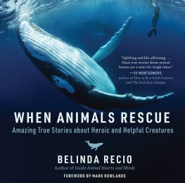 Belinda Recio When Animals Rescue: Amazing True Stories about Heroic and Helpful Creatures