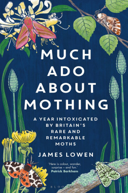 James Lowen Much Ado About Mothing