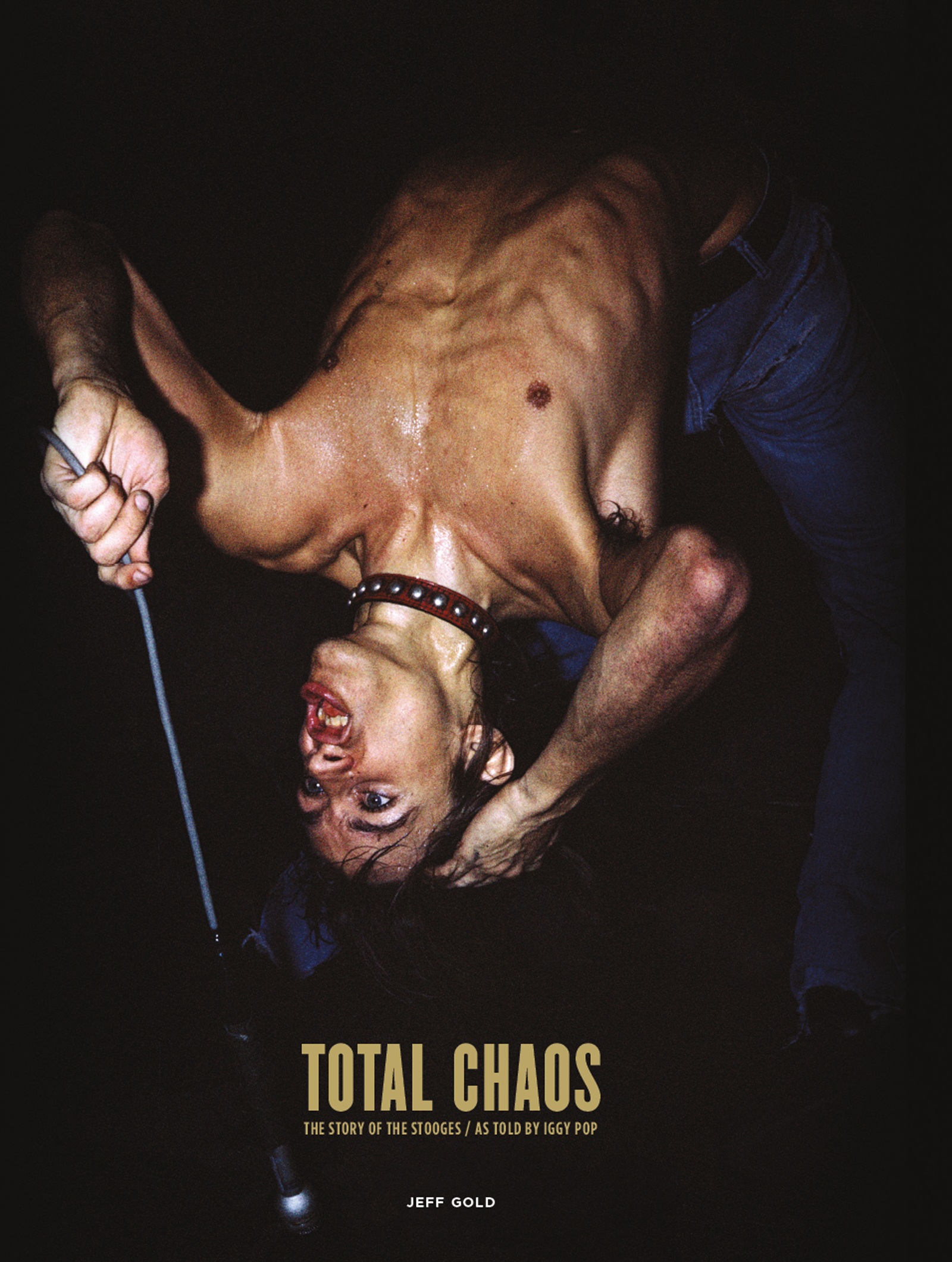 TOTAL CHAOS THE STORY OF THE STOOGES AS TOLD BY IGGY POP JEFF GOLD - photo 1