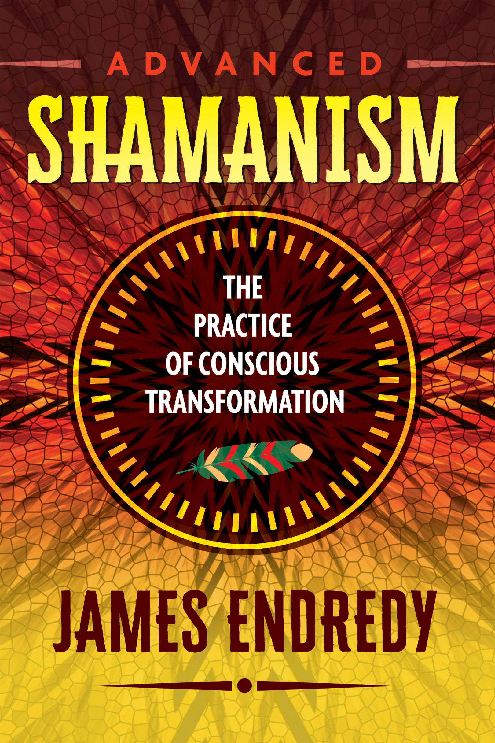 ADVANCED SHAMANISM a rich and fascinating journey intended to - photo 1