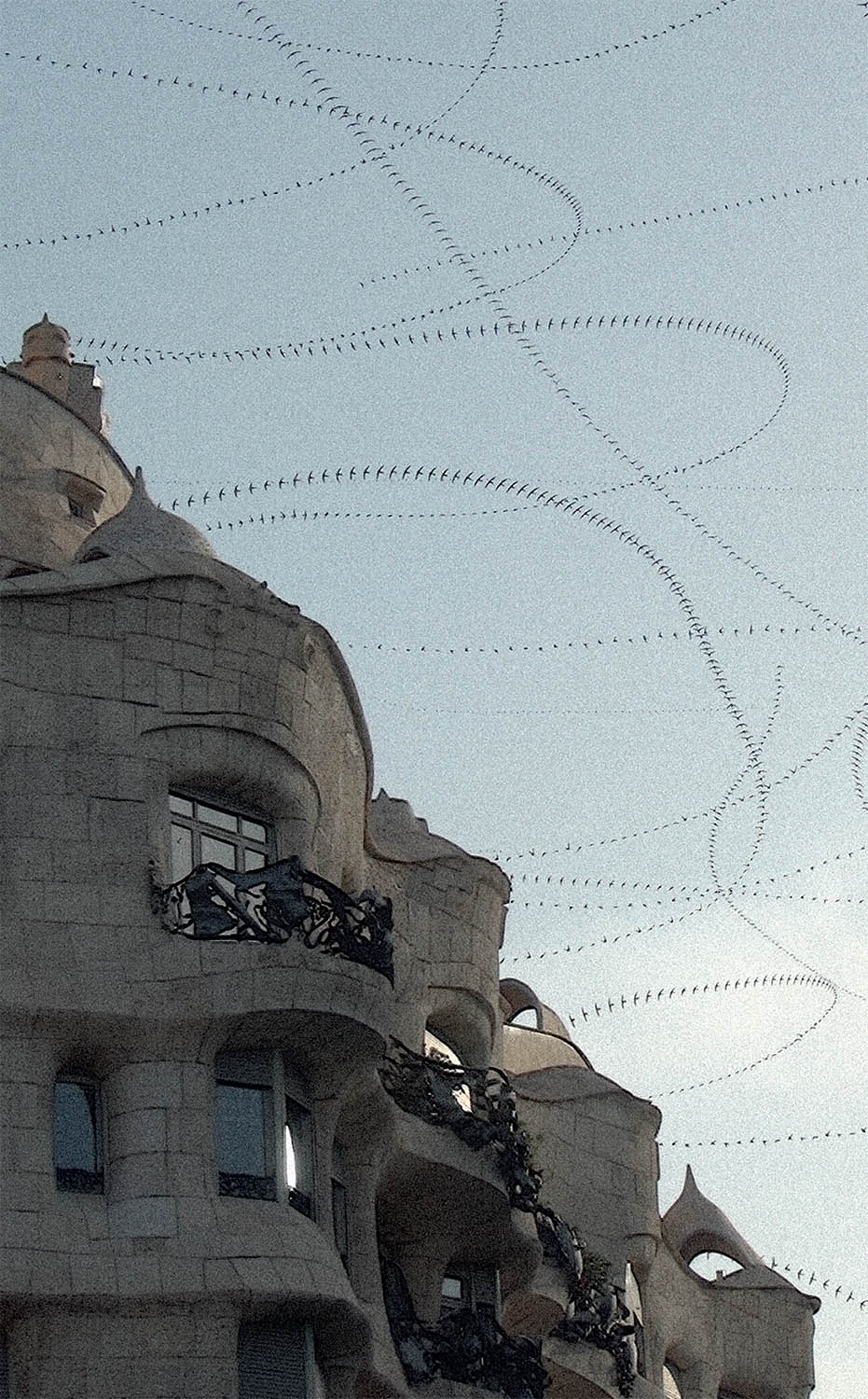 Swifts flying around Gaudis La Pedrera building in Barcelona Laurent Godel - photo 14