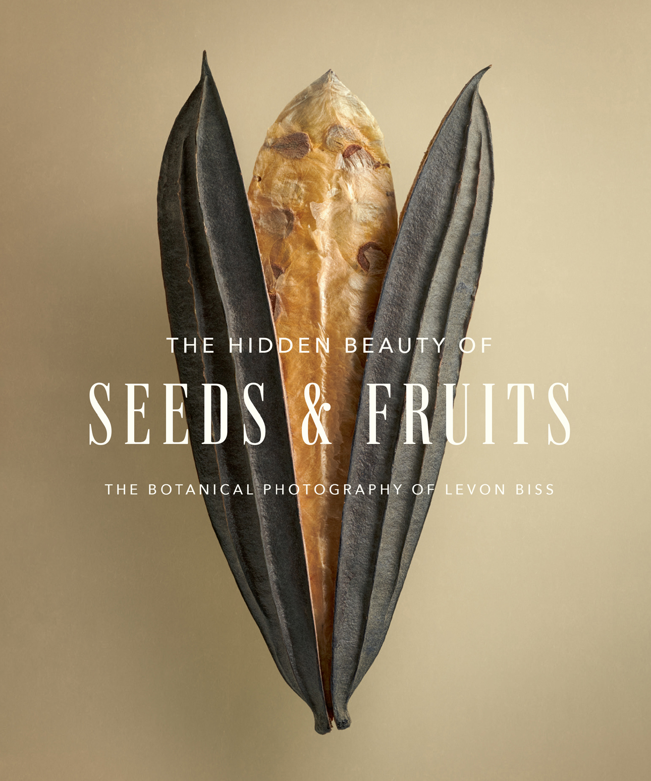 The Hidden Beauty of Seeds Fruits The Botanical Photography of Levon Biss - photo 1