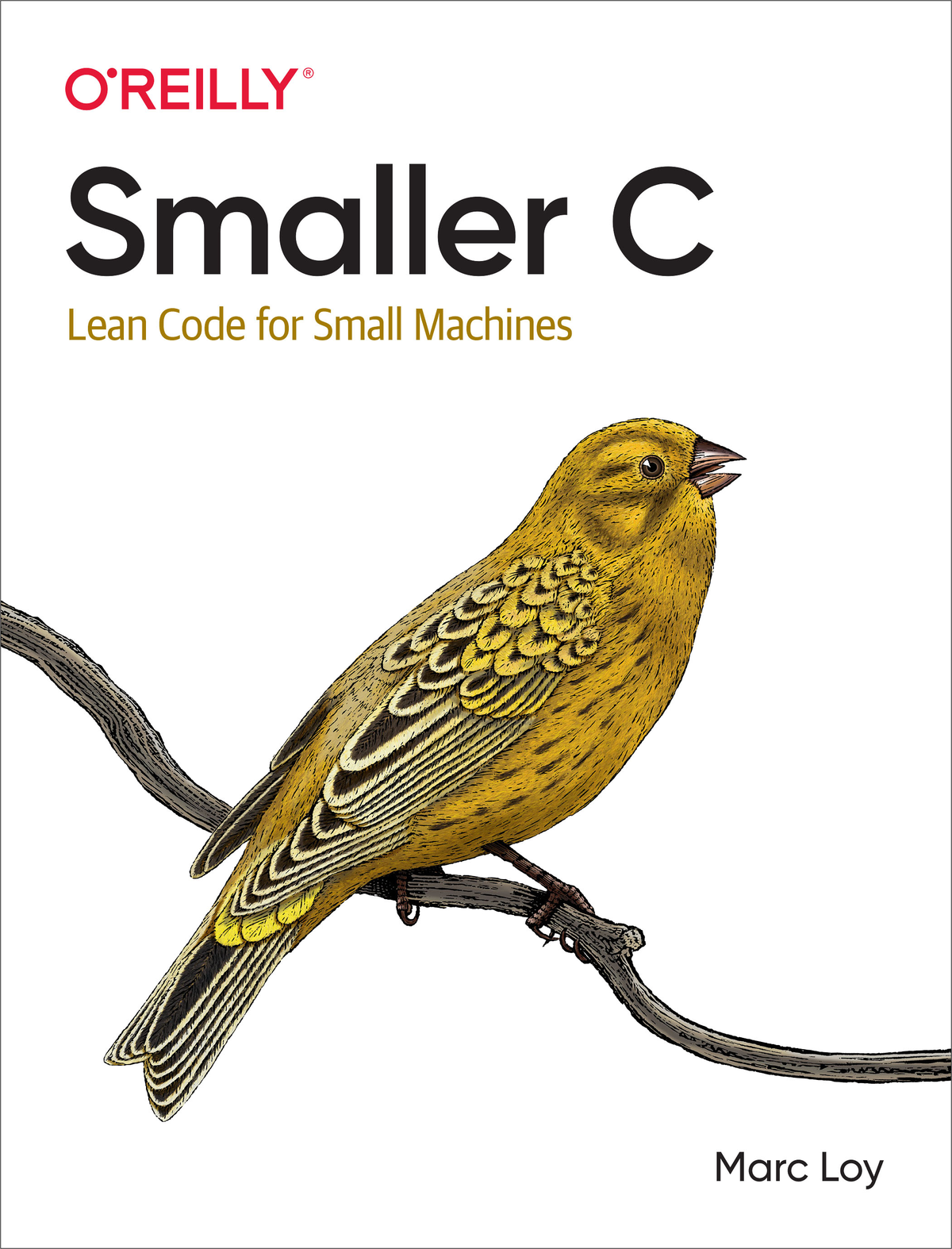 Smaller C by Marc Loy Copyright 2021 Marc Loy All rights reserved Printed in - photo 1