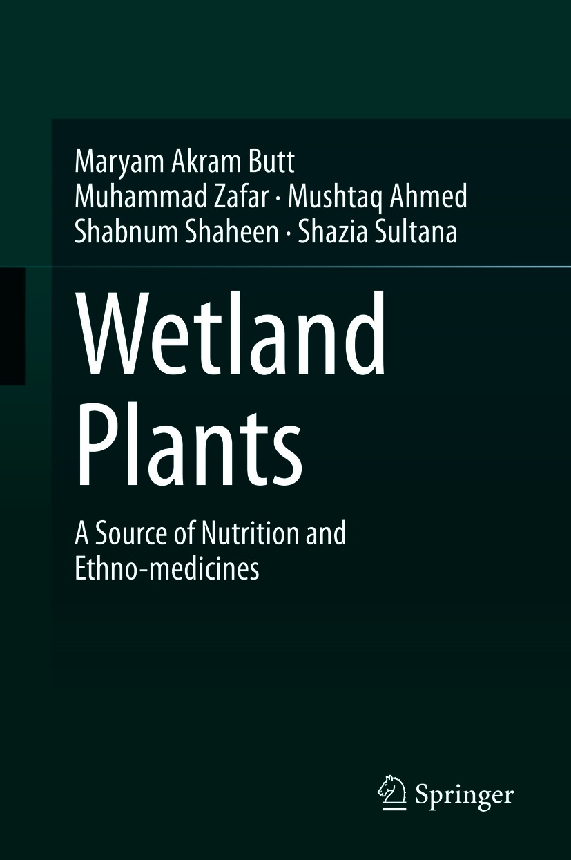 Book cover of Wetland Plants Maryam Akram Butt Muhammad Zafar Mushtaq - photo 1