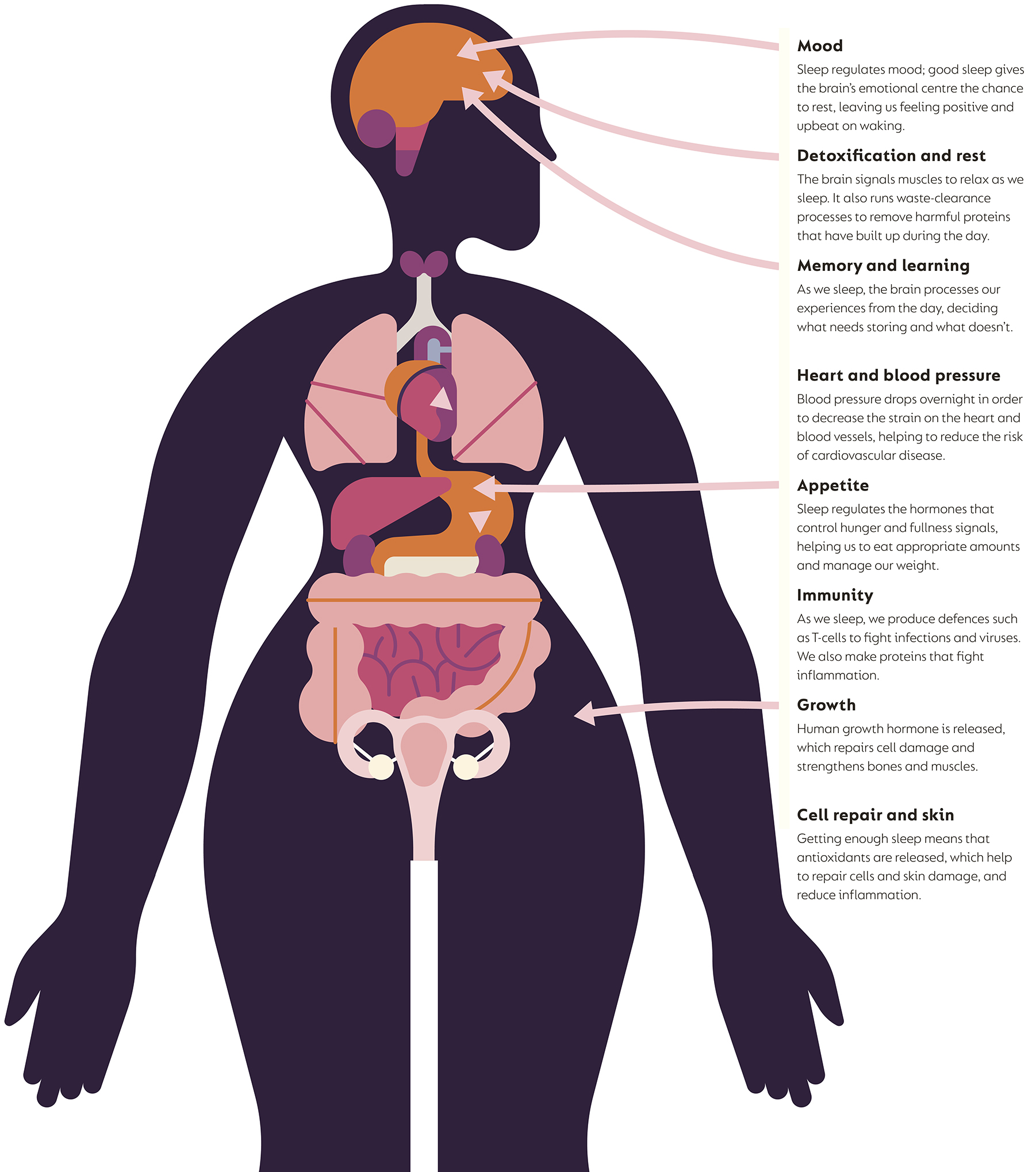 n Double-tap image to read the labels Mood Sleep regulates mood good sleep - photo 7