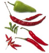 Chillies come in many shapes and sizes Fresh green and red finger-length - photo 6