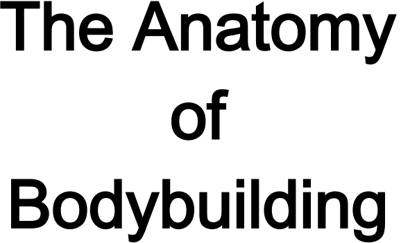 The Anatomy of Bodybuilding - photo 1