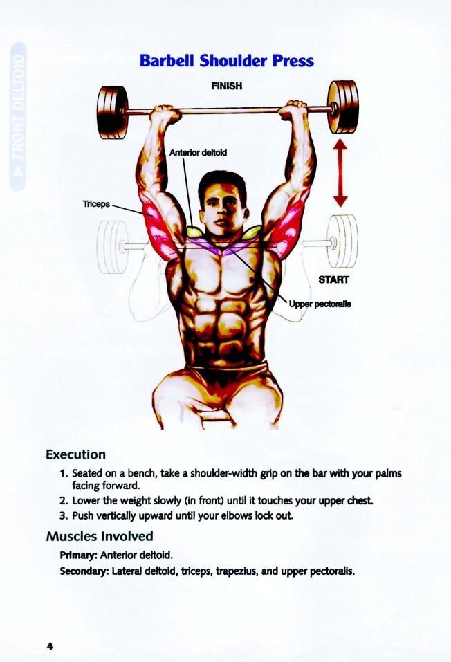 The Anatomy of Bodybuilding - photo 5