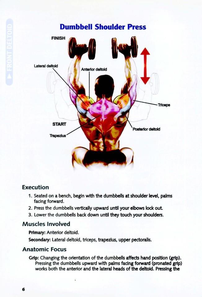 The Anatomy of Bodybuilding - photo 7