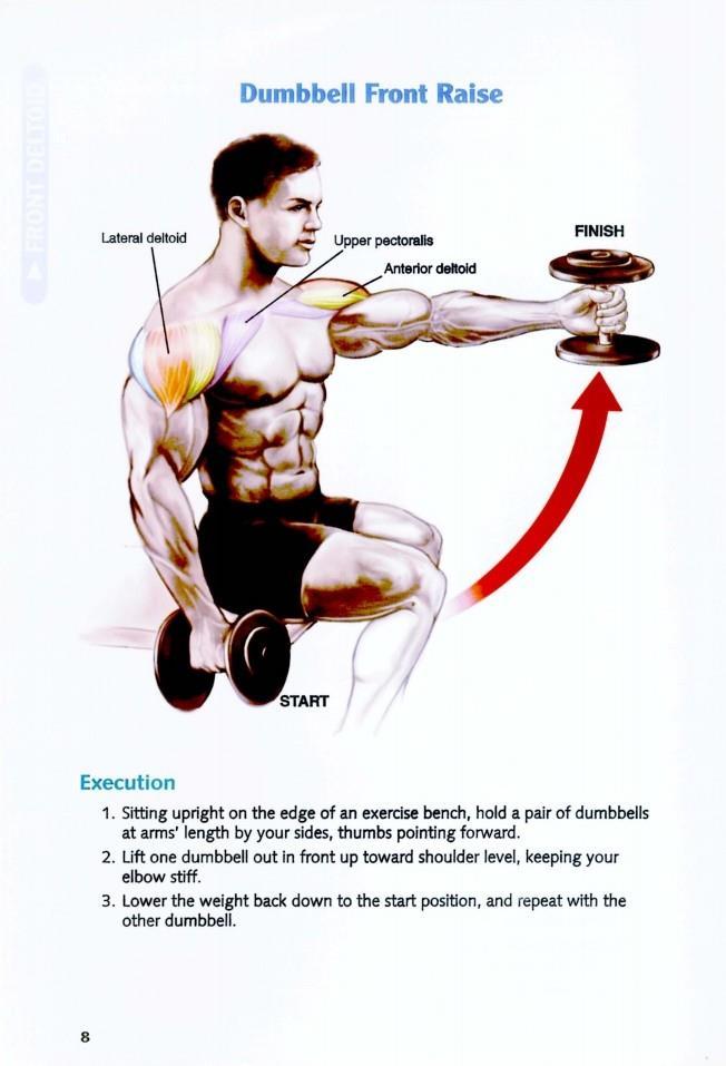 The Anatomy of Bodybuilding - photo 9