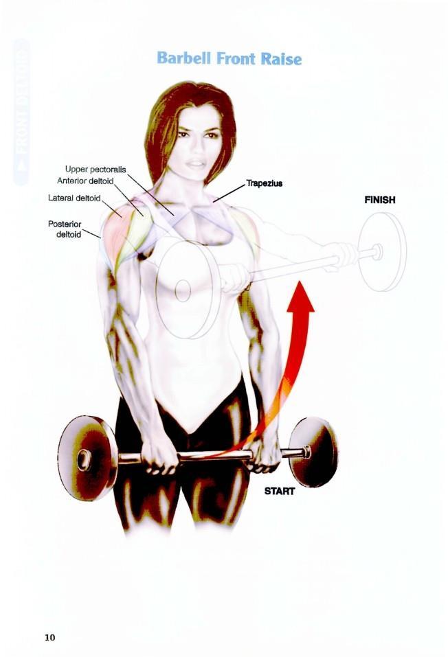 The Anatomy of Bodybuilding - photo 11