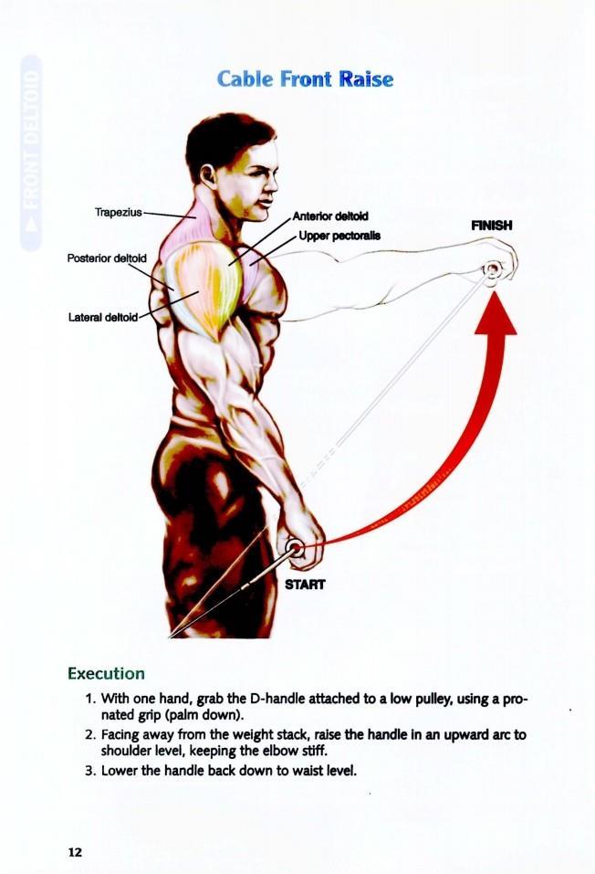 The Anatomy of Bodybuilding - photo 13