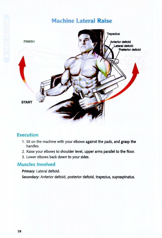 The Anatomy of Bodybuilding - photo 19